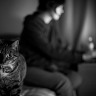 11/365 There's A Rico Watching You